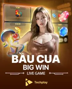 bau cua bigwwin 242x300 1