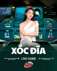 xdl 240x300 1