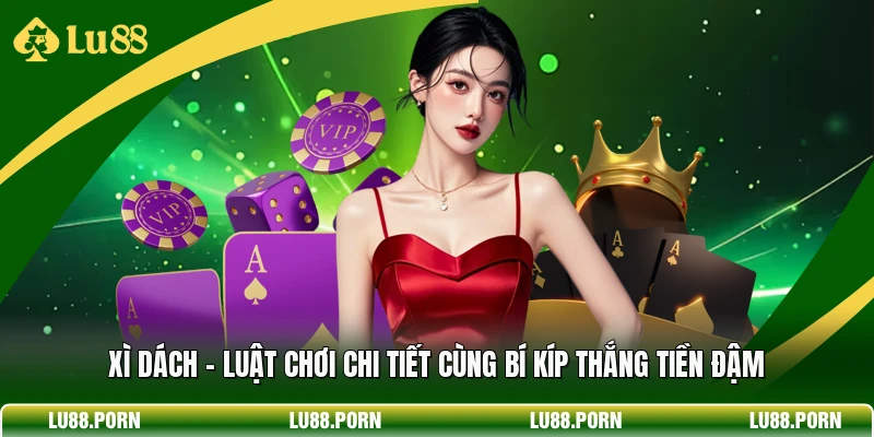 Xì Dách - Luật Chơi Chi Tiết Cùng Bí Kíp Thắng Tiền Đậm
